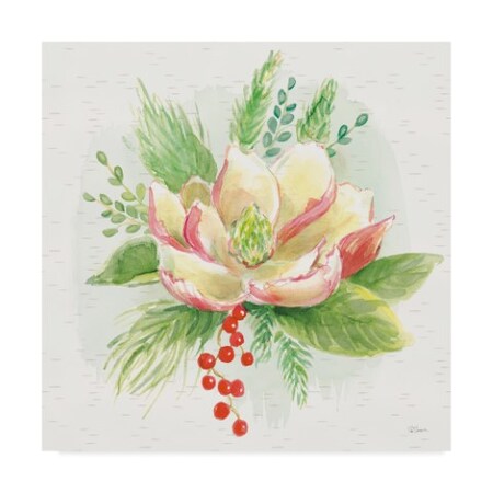Sue Schlabach 'Winter Blooms V' Canvas Art,35x35